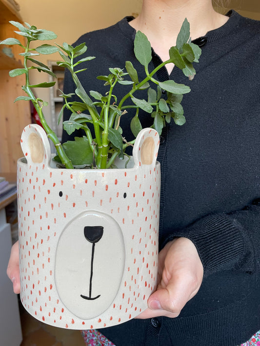 Cache pot Albert